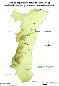 Carte de répartition du Grand Hamster en Alsace