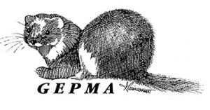 GEPMA