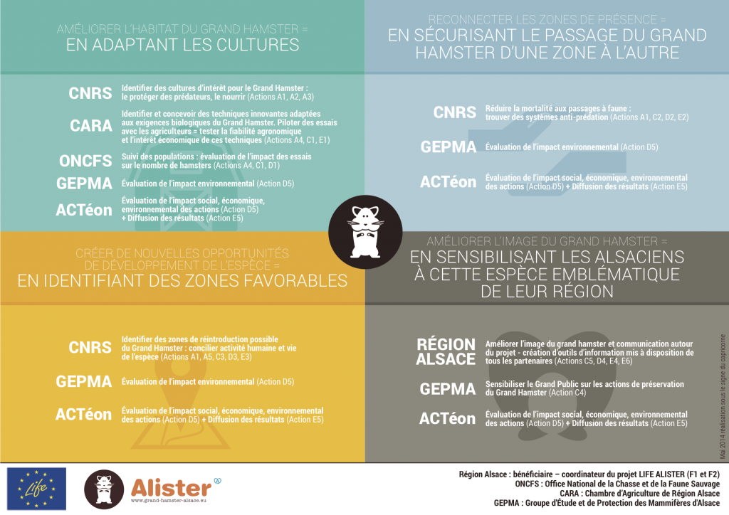 infographie alister