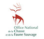 office_chasse