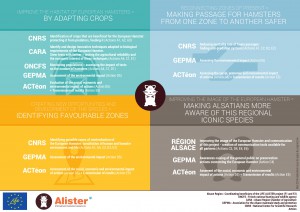 Infographie_anglais