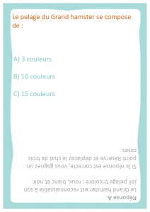 questions faciles 11