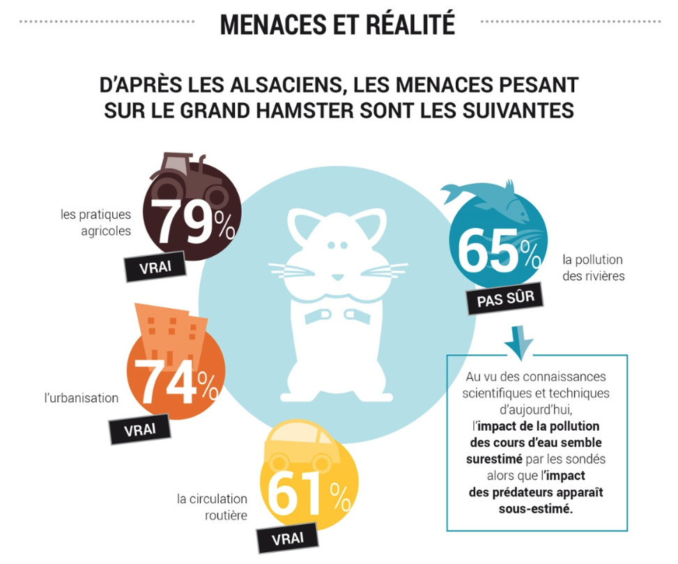 image infographie enquête