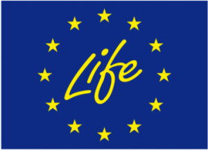 Life europe