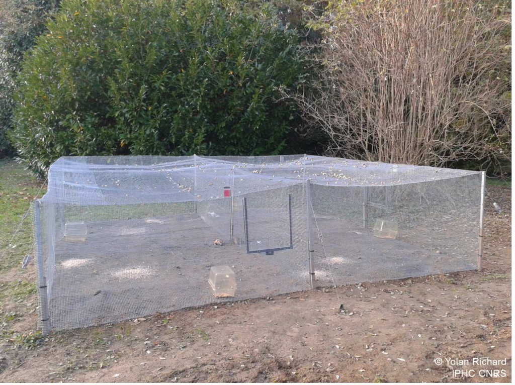 Aménagement - copie