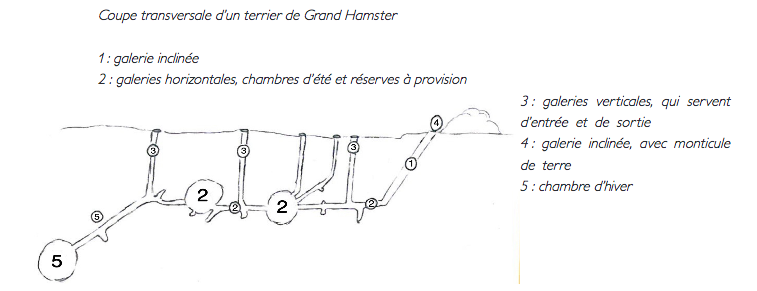 Capture d’écran 2017-02-15 à 11.58.05