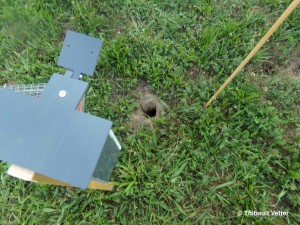 KODAK Digital Still Camera