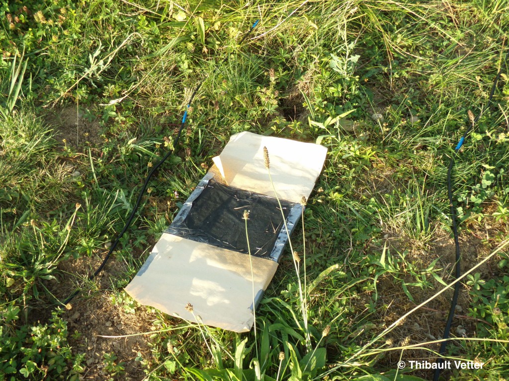 KODAK Digital Still Camera