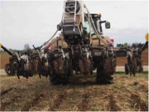 strip-till