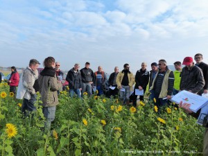 agriculteurs-cipan