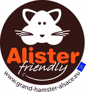 AlisterFriendly_Q