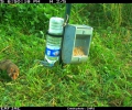 26 septembre 2014 : 14 hamsters d’élevage lâchés par le CNRS dans un grand enclos