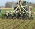 Strip-till und Vegetationsdecken im Versuch