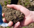 Hin zu landwirtschaftlichen Systemen, die für Klimagefahren weniger anfällig sind und die biologische Vielfalt bewahren?