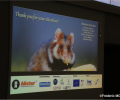 Eine Dissertation, die viele Lösungsansätze für das Überleben des Hamsters im Elsass eröffnet