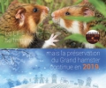 Bonne année 2019